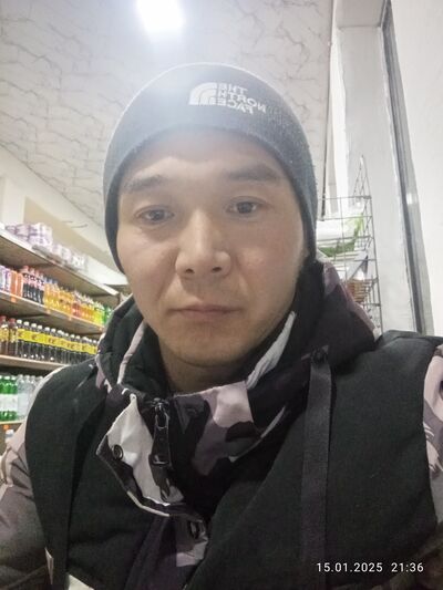  -,   Maxim, 31 ,   ,   