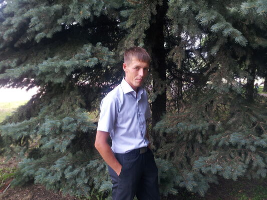  -,   , 38 ,   ,   , c 