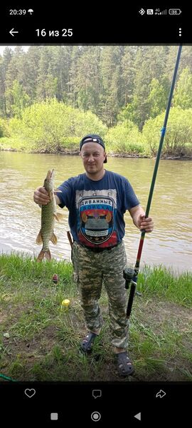  ,   Fanil, 47 ,     , c 