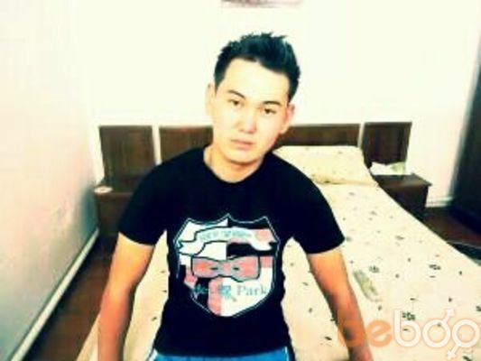  3798577  , 31 ,    