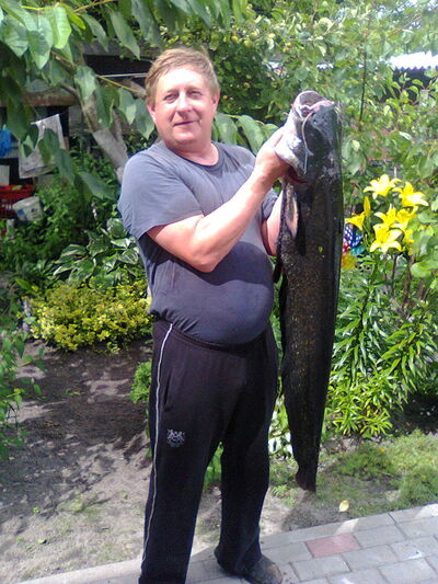  ,   , 48 ,   