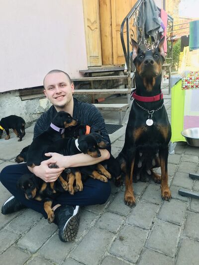  ,   Taras, 28 ,   ,   , c , 