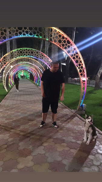  Gelsenkirchen,   , 33 ,     , c 
