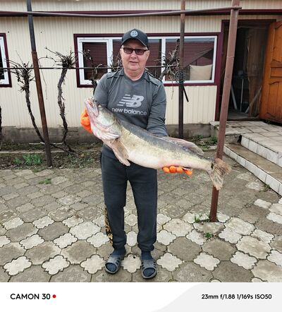  ,   , 59 ,   c 