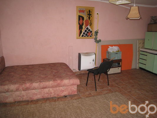 ���������� ����, ���� ������� �����, 44 ����, ������������ ��� ������