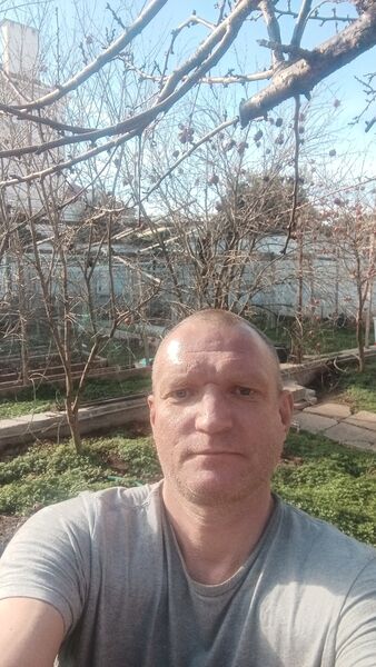  ,   , 50 ,   ,   , 