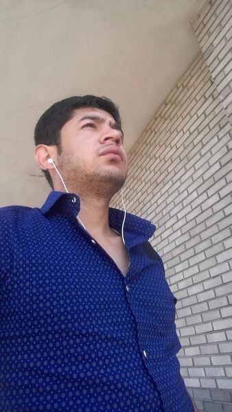   ,   , 31 ,   