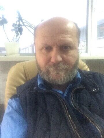  31338677  , 61 ,    