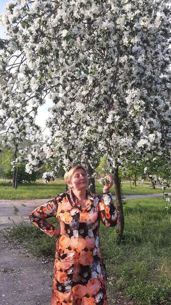  Chojnow,   , 60 ,   ,   , c , 