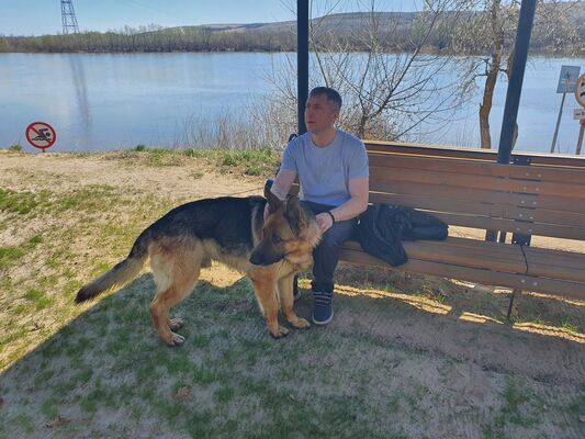  ,   Denis, 41 ,   ,   , c , 