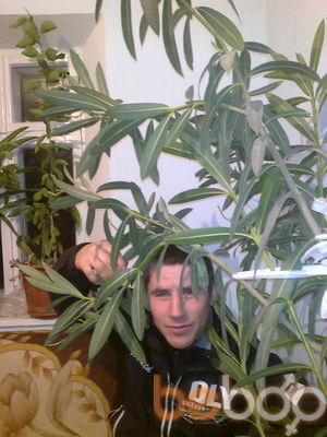  ,   Grigorie, 37 ,   ,   , c 