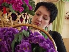  ,   , 53 ,   ,   , c 