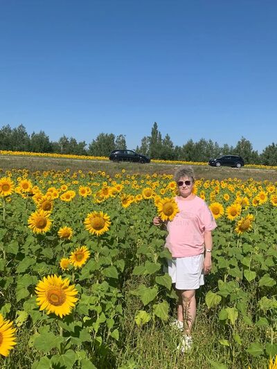  ,   , 54 ,   ,   