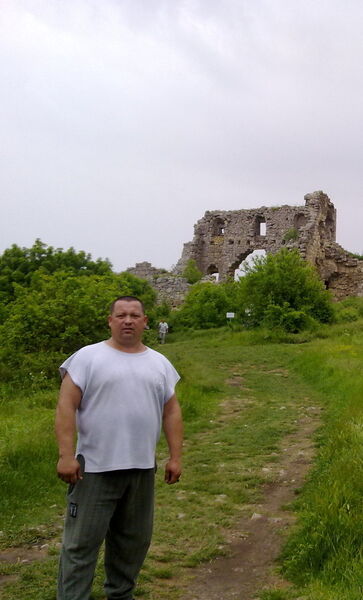  ,   , 46 ,  