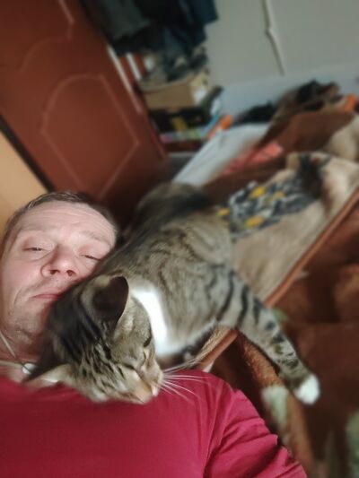  ,   , 43 ,  
