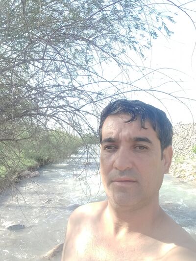  -,   Zoir, 44 ,   ,   