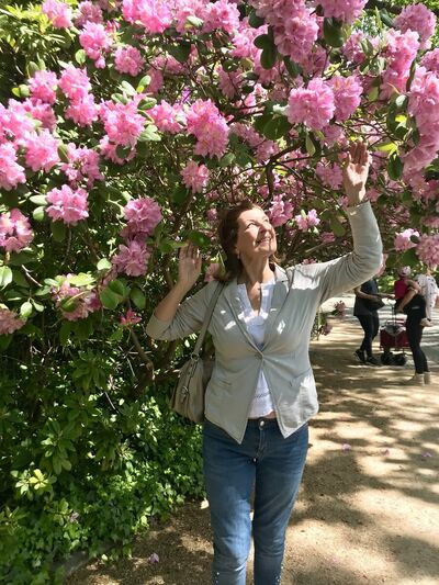  ,   , 65 ,   ,   , c 