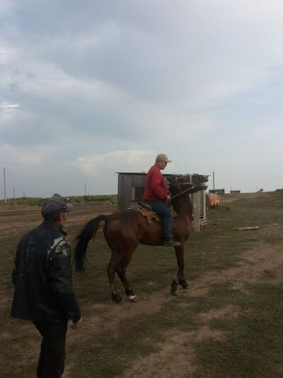  ,   , 43 ,   ,   , c , 