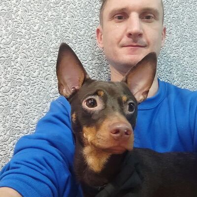  ,   Beatles, 39 ,   ,   