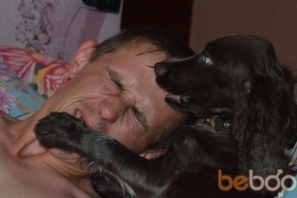  ,   Lexa, 41 ,   
