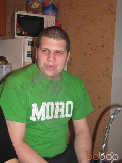 ,   Bear, 44 ,   , 