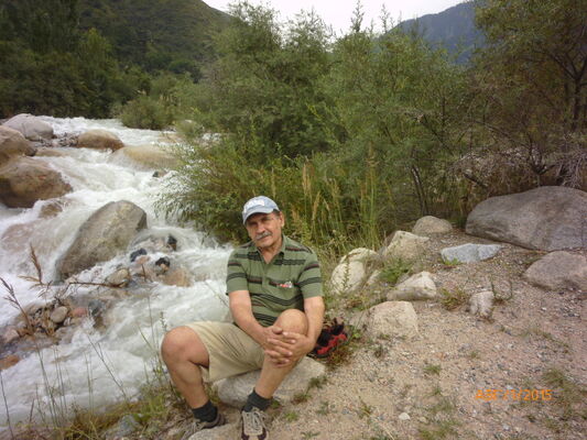  ,   , 65 ,     , c 