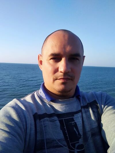  ,   Fox, 41 ,   