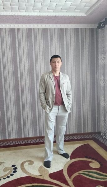  -,   , 38 ,   ,   , c 
