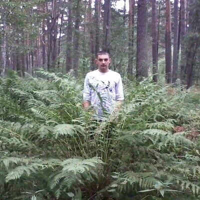  ,   , 36 ,   