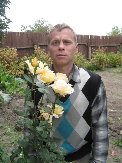  ,   , 53 ,   
