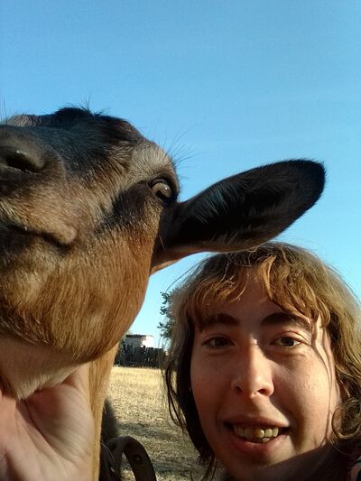  ,   Elena, 38 ,   c 