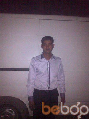  ,   Gulaga, 43 ,     , c 