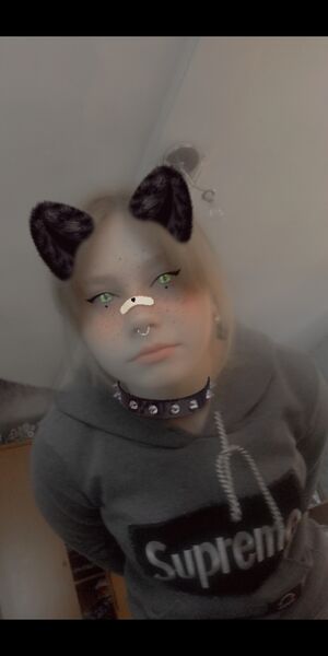 ,    , 20 ,   ,   , c , 