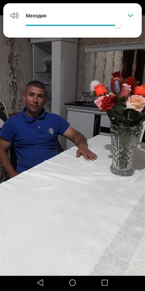  ,   DAWQIN, 40 ,   ,   