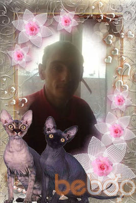  ,   , 44 ,   ,   , c , 