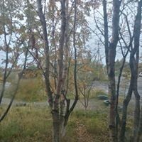 ,   Yuri, 37 ,   ,   , c 