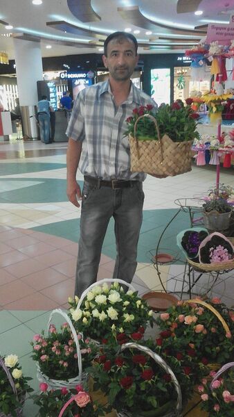  ,   Nyrali, 51 ,   ,   , c 