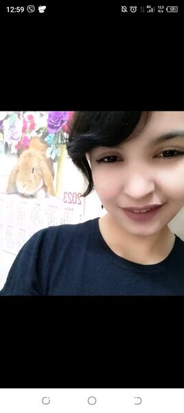  ,   , 29 ,   , c 