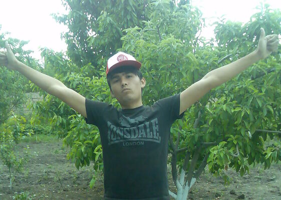  ,   Elbek, 29 ,   ,   , c 