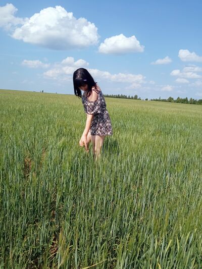  -,   , 41 ,   c , 