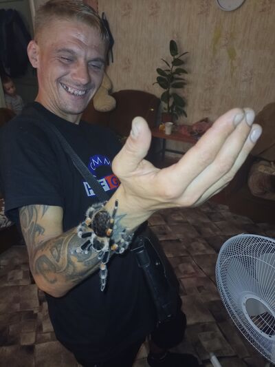  ,   , 37 ,   ,   