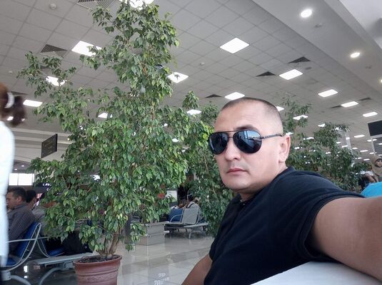  ,   , 41 ,   ,   