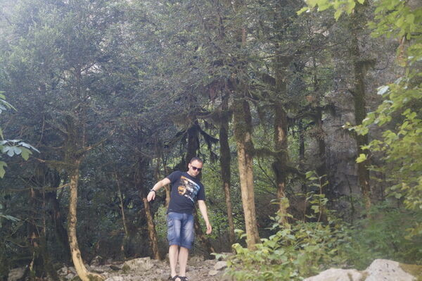  -,   , 41 ,   ,   , c 