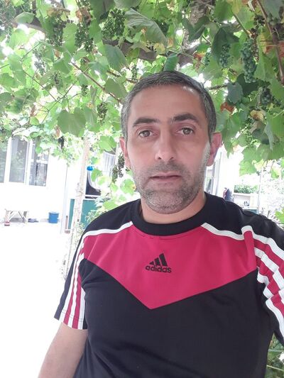  ,   Dato, 49 ,   ,   , c , 