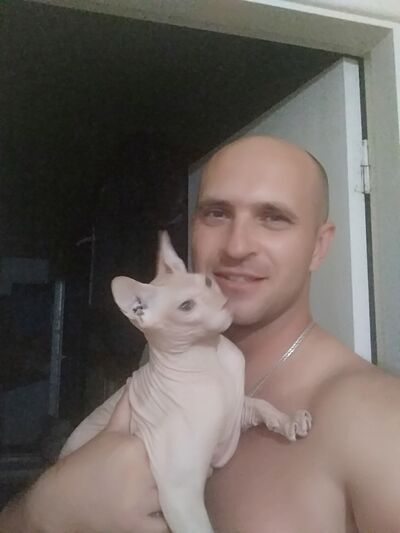  --,   , 38 ,   ,   , 