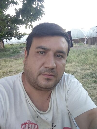  ,   Shovkat, 38 ,   ,   , c 