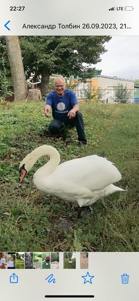  ,   , 62 ,   ,   