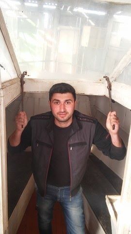  ,   Natik, 31 ,   ,   , c , 