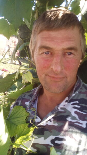  ,   , 55 ,   