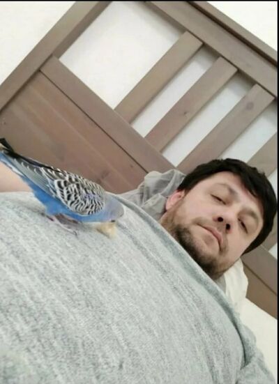  -,   , 44 ,   ,   